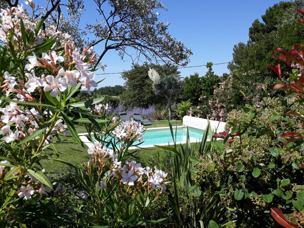 Parfums De Provence "Le Lavandin" Piscine Chauffee & Spa Везон-ла-Ромен Экстерьер фото